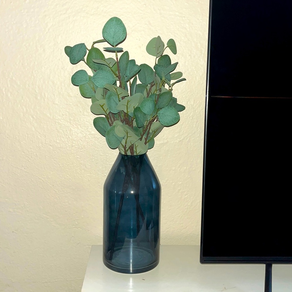 Ashland Spring Printemps Vase (1) / Plants (3)